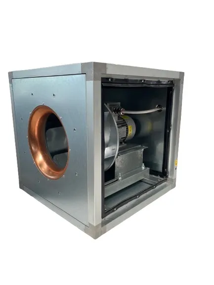 AC-BOX ATEX Cabinet Fan